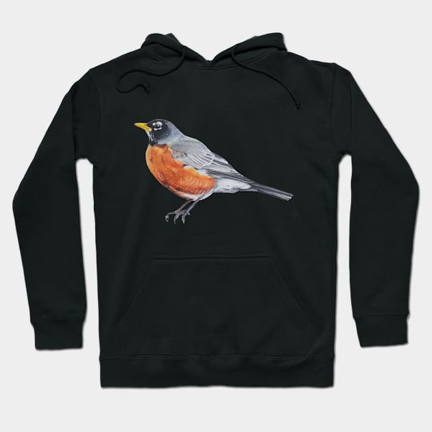 American Robin 2 (no background) Hoodie by EmilyBickell